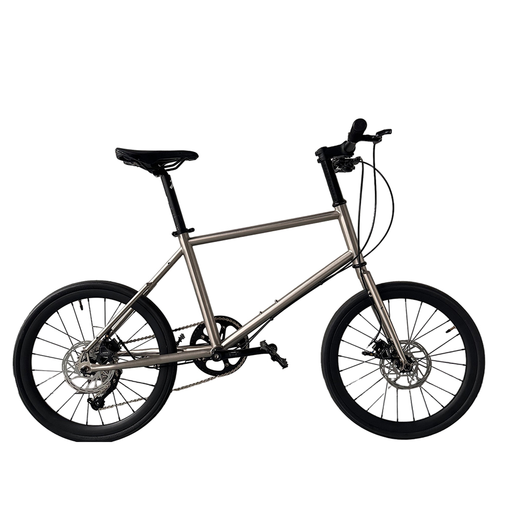 20 Inch Boy Bikes Child Gear B - Cycling Gear Inches recension och pris
