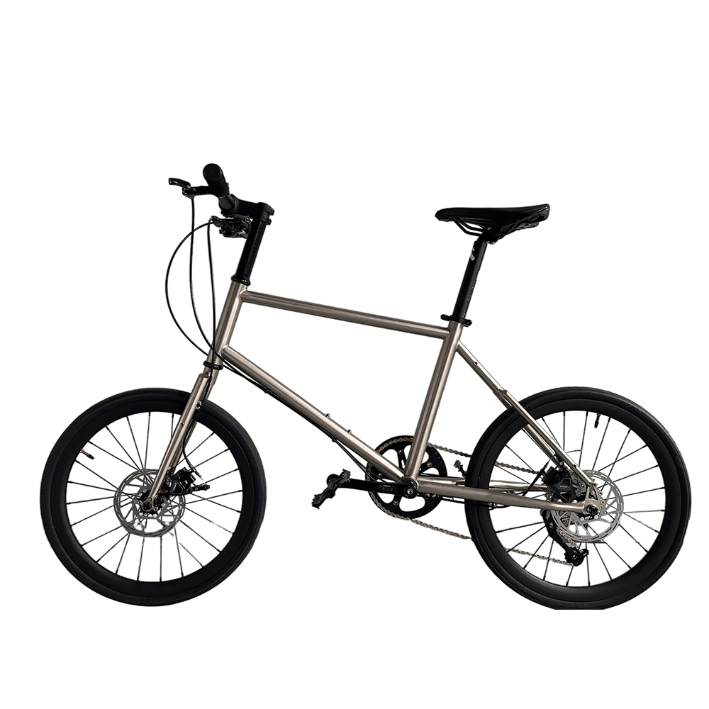 20 Inch Boy Bikes Child Gear B - Cycling Gear Inches recension och pris